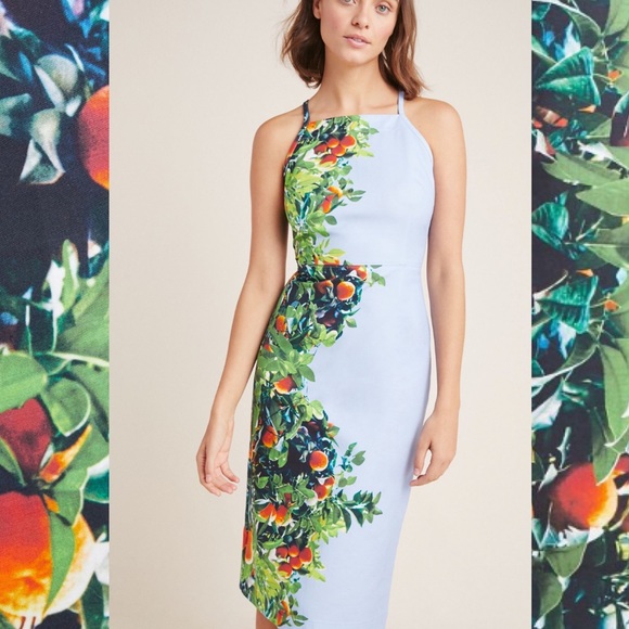 Anthropologie Dresses & Skirts - Anthropologie Orange Bough Dress